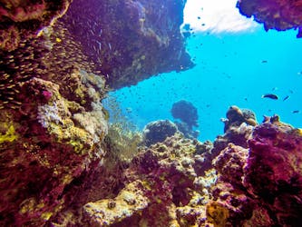 Intro diving for beginners and Red Sea cruise in Sharm El Sheikh